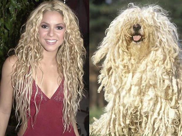 shakira - 16 Parecidos razonables entre Animales y Famosos