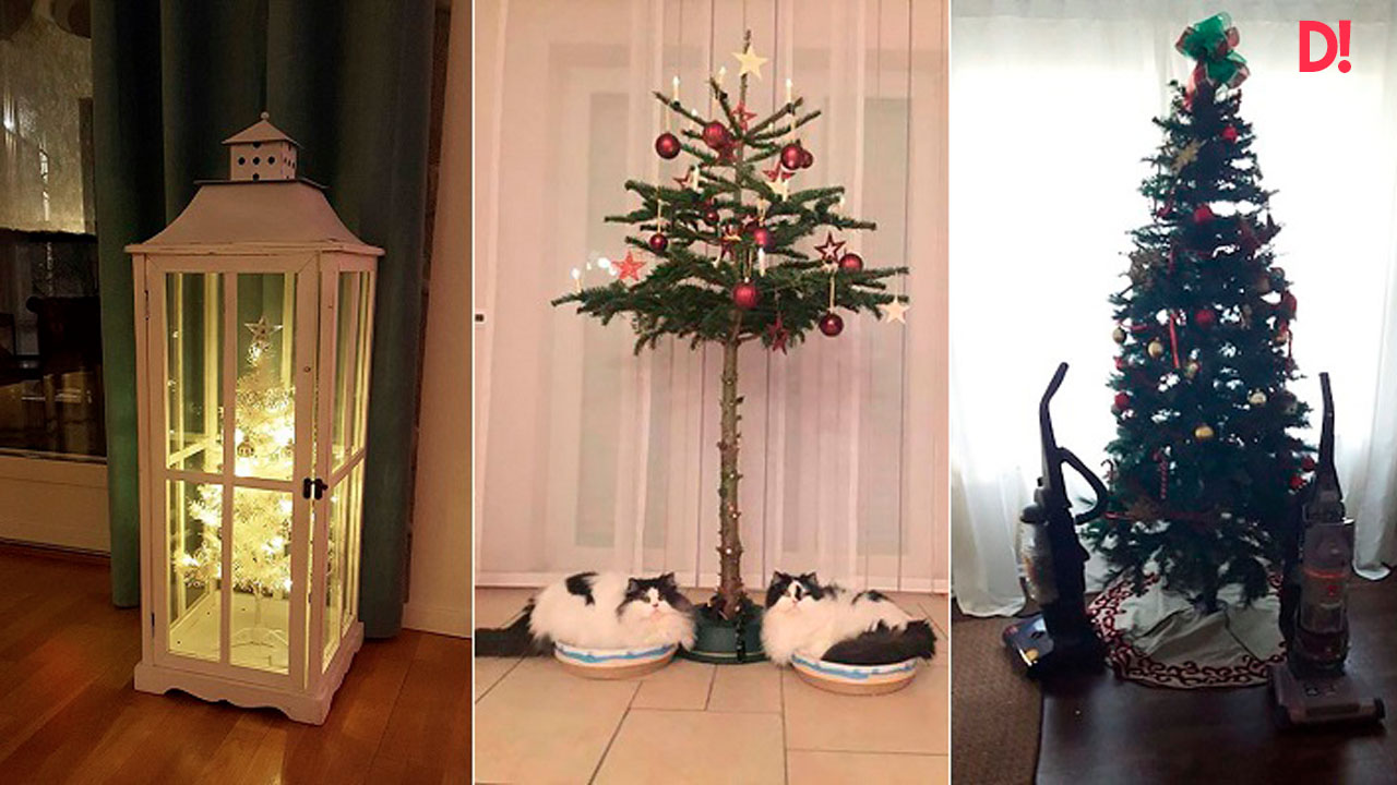 16 personas que cuidan sus arboles de navidad de sus mascotas