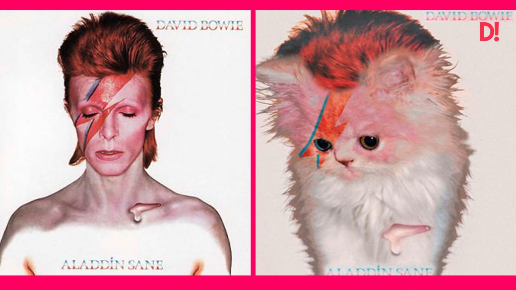 14 Portadas de discos protagonizadas por lindos gatos DALE