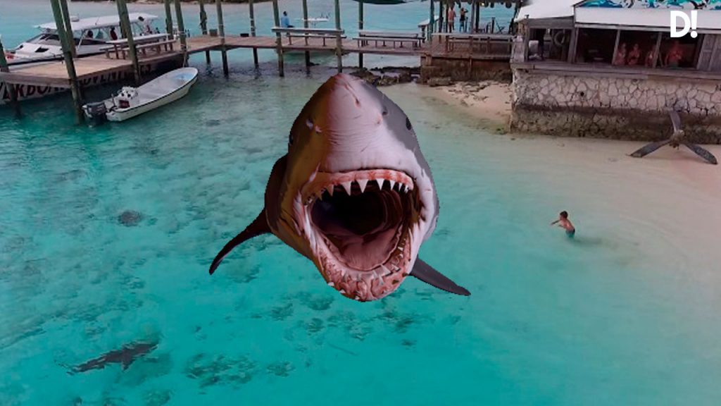 El VIDEO en que cuatro tiburones se aproximan a un chico en playa Dalemedia  1024x576 - El VIDEO en que cuatro #tiburones se aproximan a un niño en una playa de Bahamas   #Viral