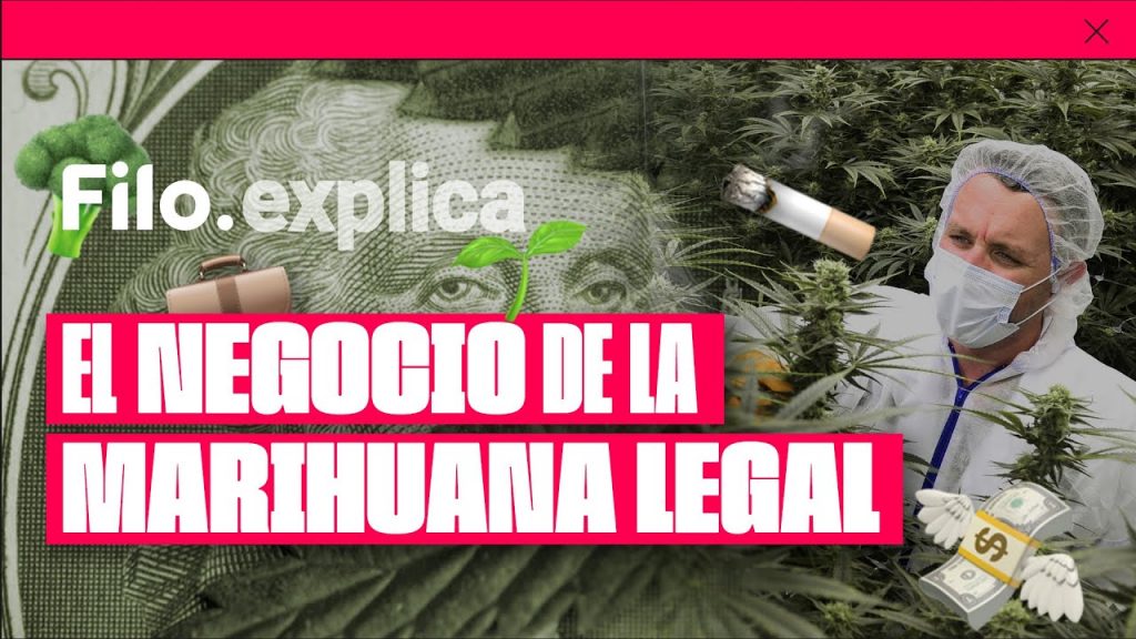 MARIHUANA DEBE SER LEGAL